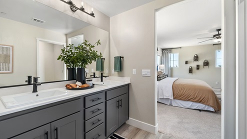 main suite bathroom in the wren model