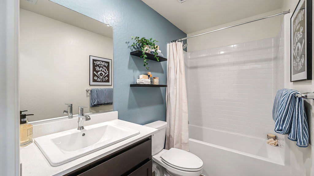 Bathroom with blue wall.