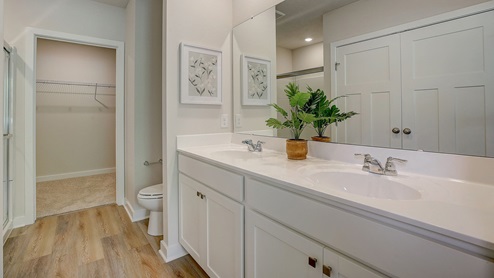 primary en suite full bath with dual vanity