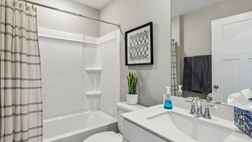 Lower level full bath with tub and shower