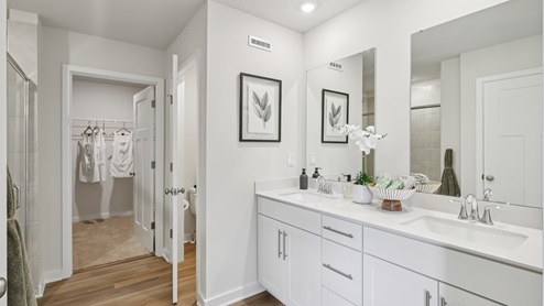 Primary ensuite with dual vanity
