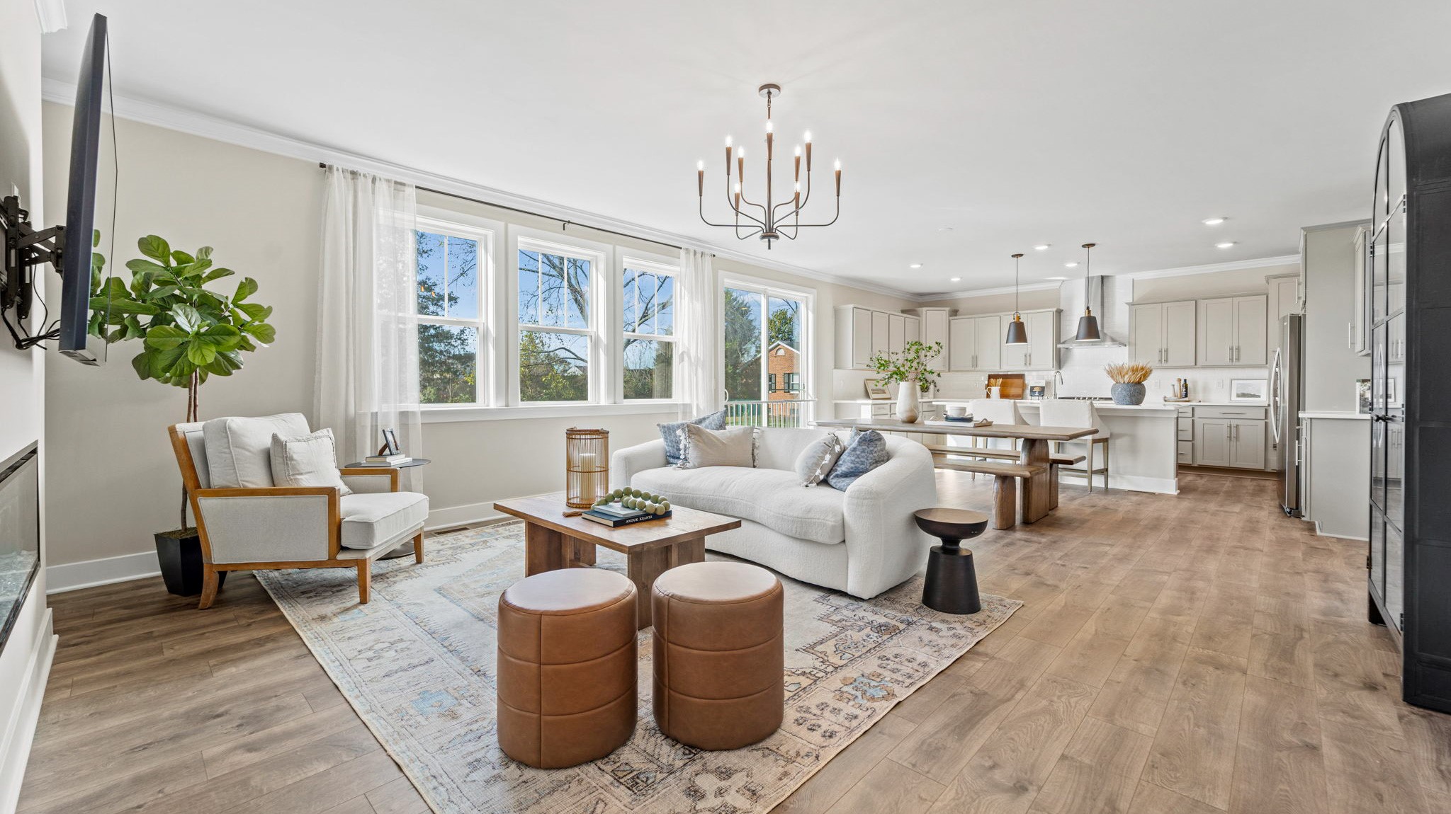 Living room open concept