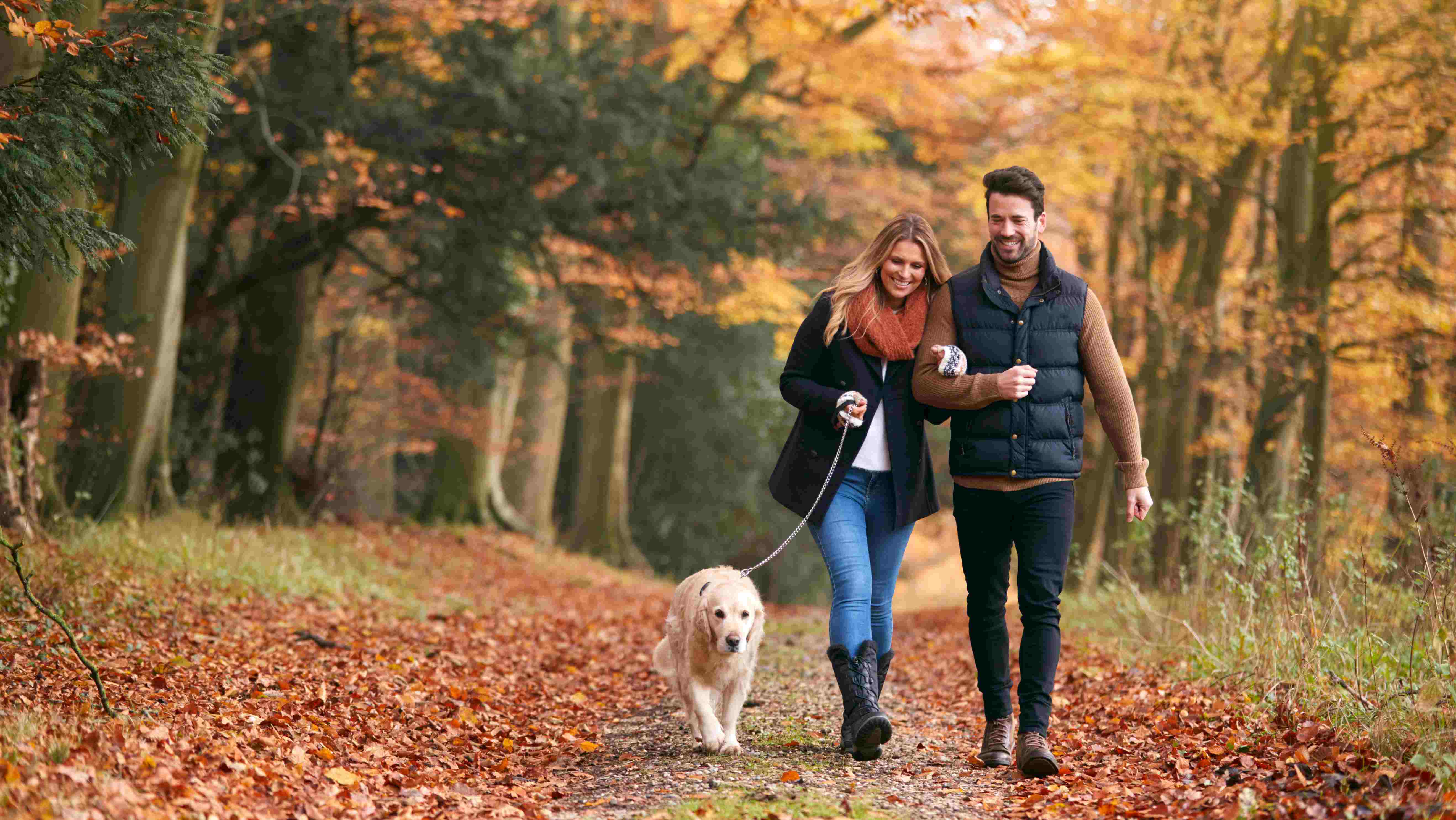 Lifestyle photo of a couple walking a dog