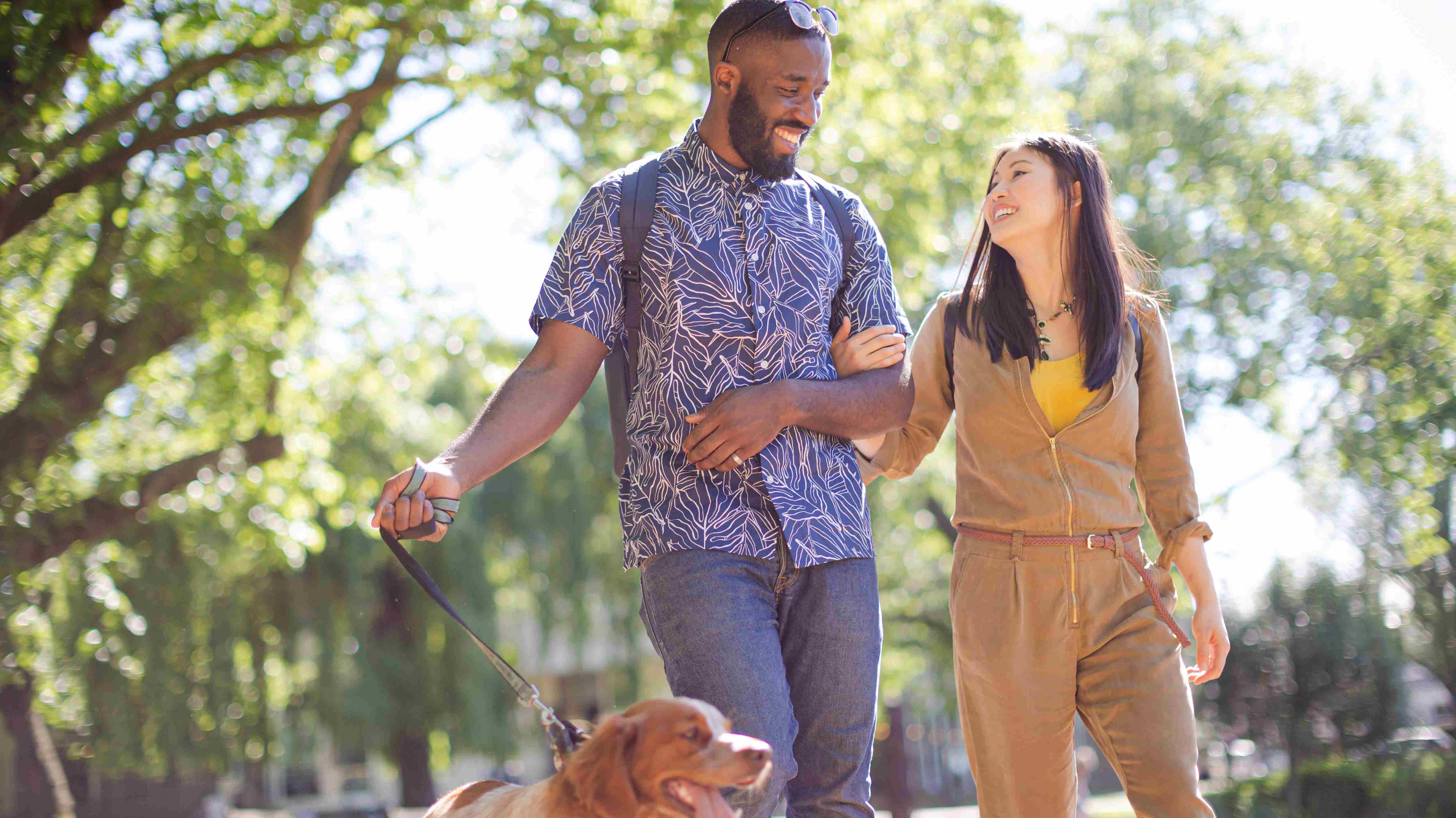 Lifestyle photo of a couple walking a dog