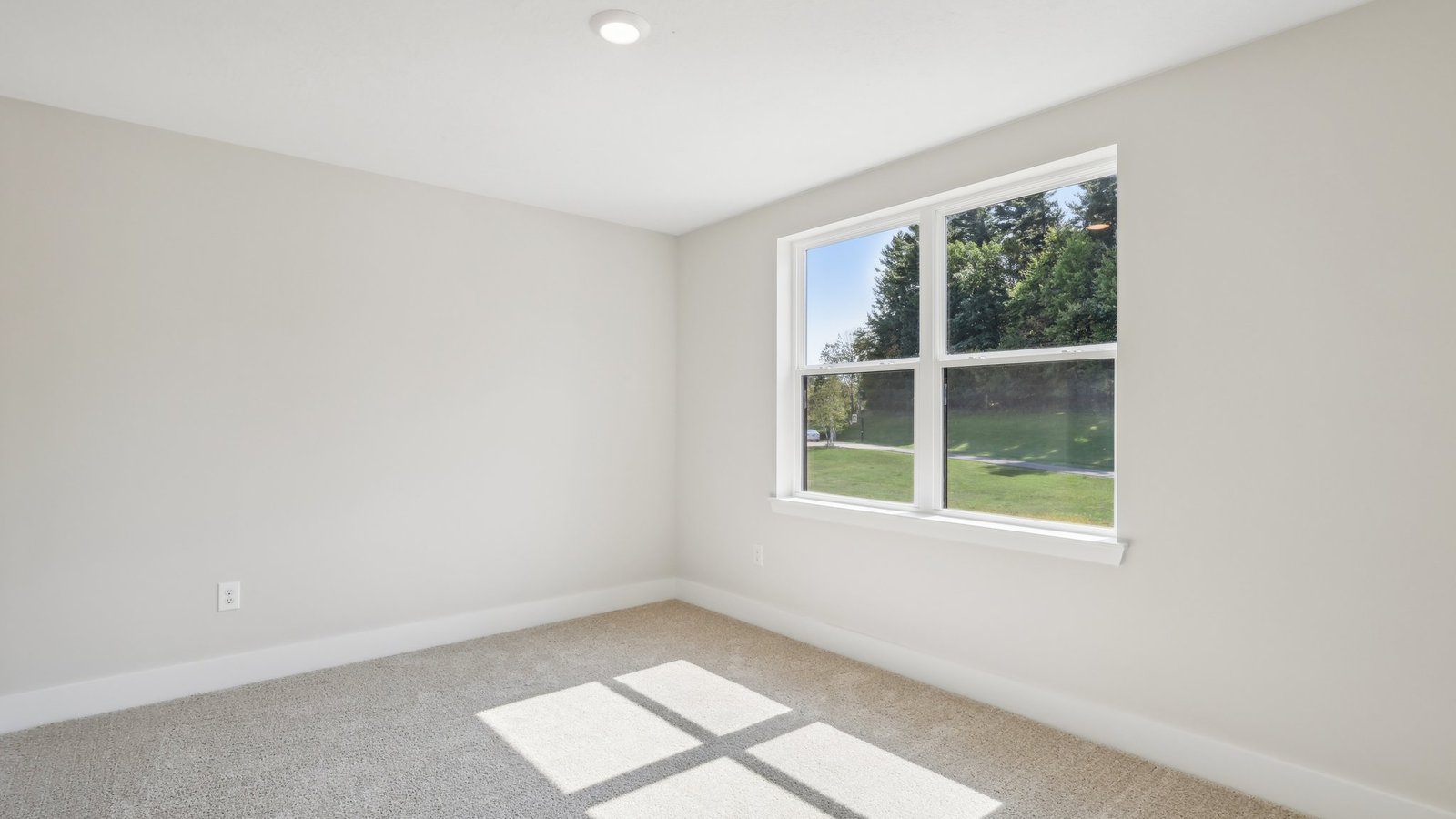 second bedroom with carpet