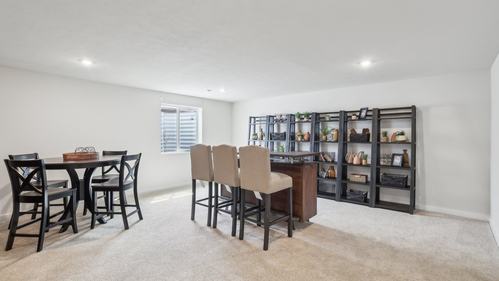 Finished lower level with window