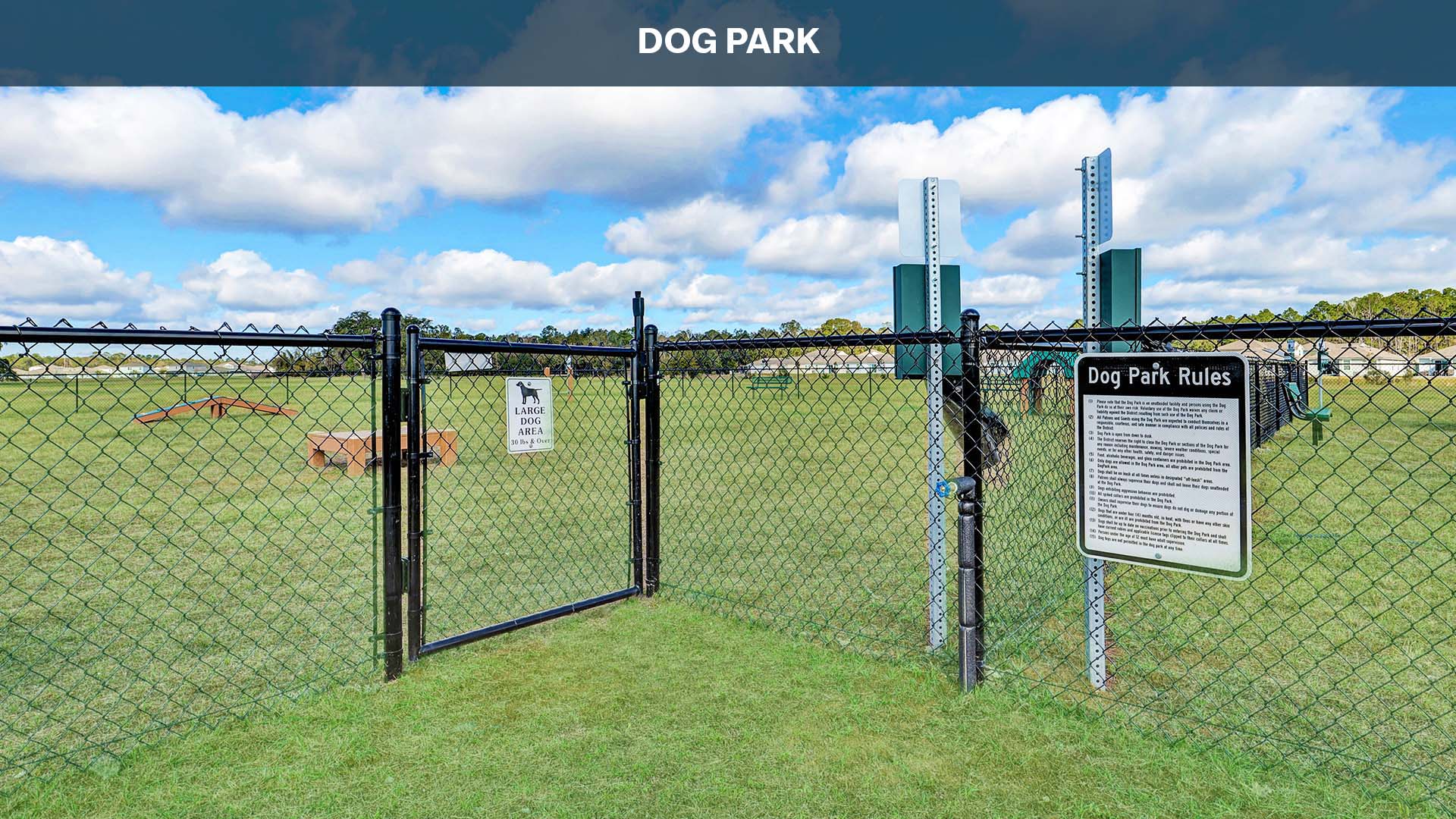 Dog Park