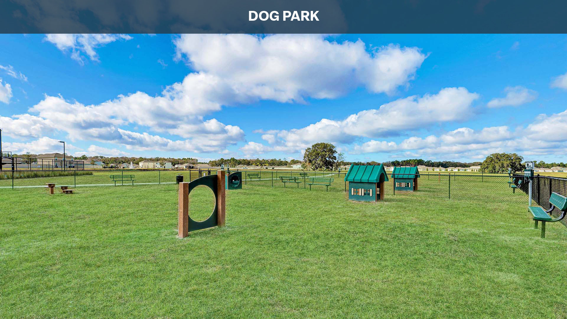 Dog Park