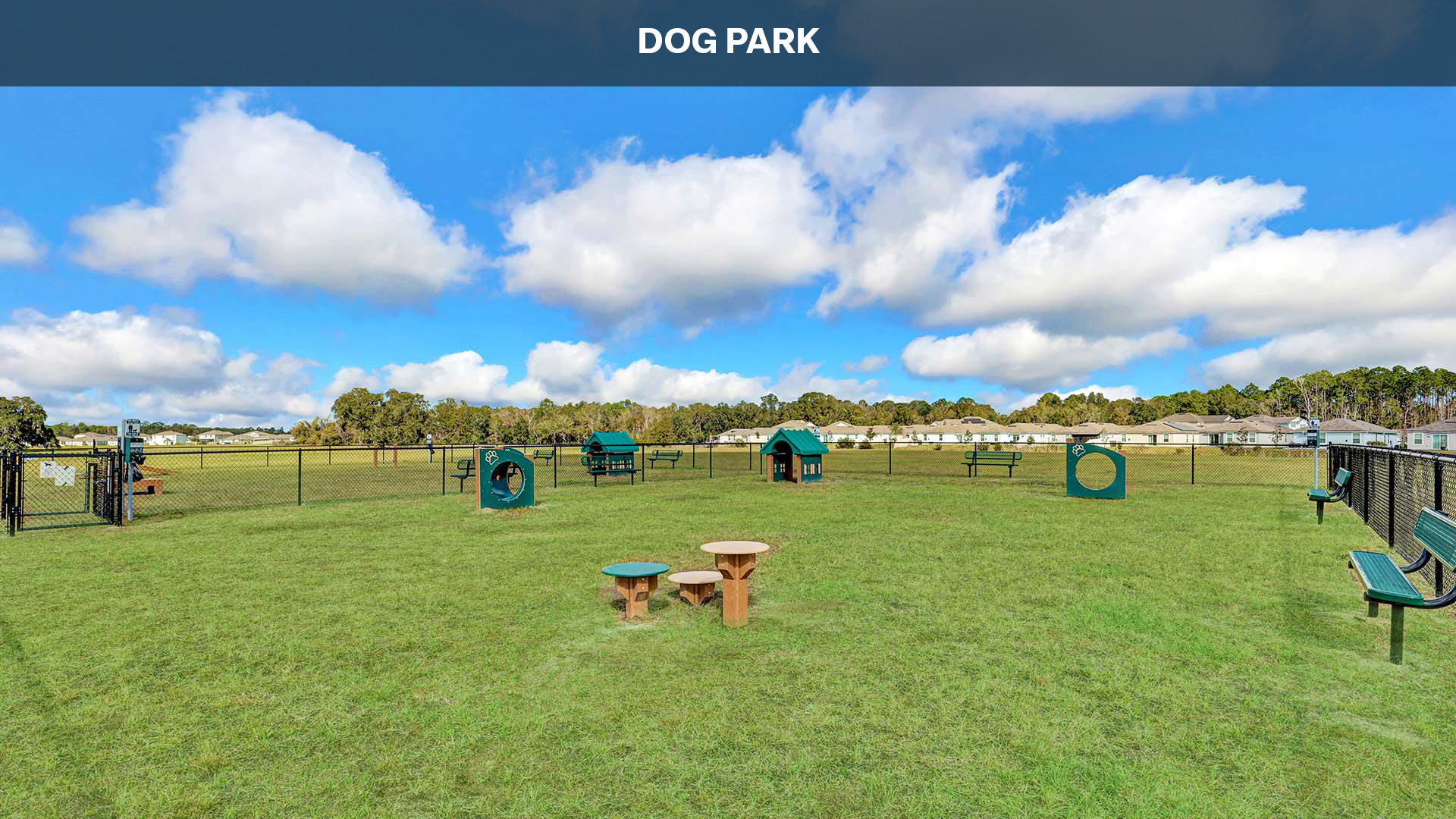 Dog Park