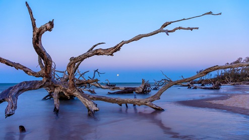 Liberty Cove