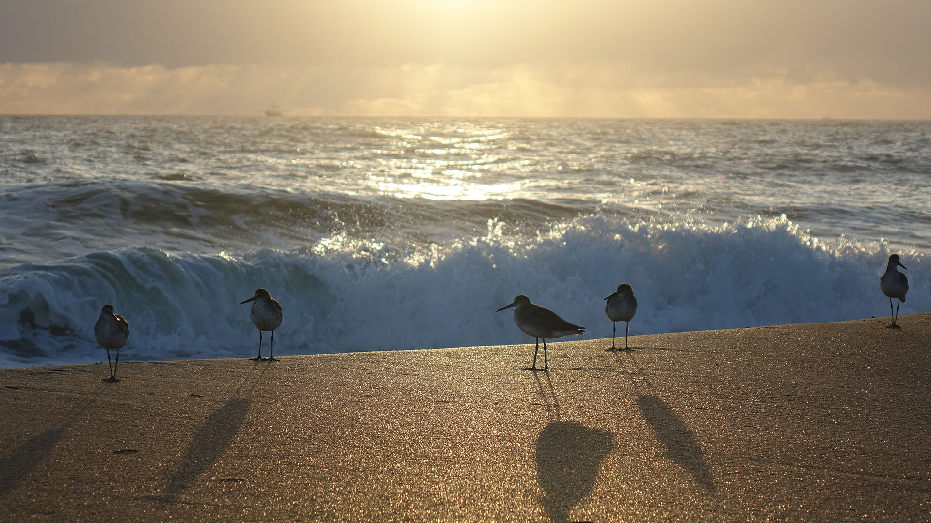 Freedom at Sawmill Branch in Palm Coast, Florida