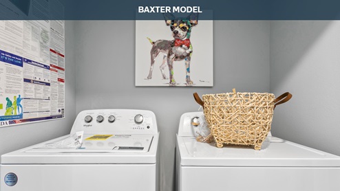 Baxter
