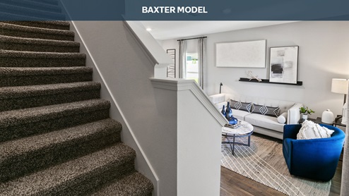 Baxter