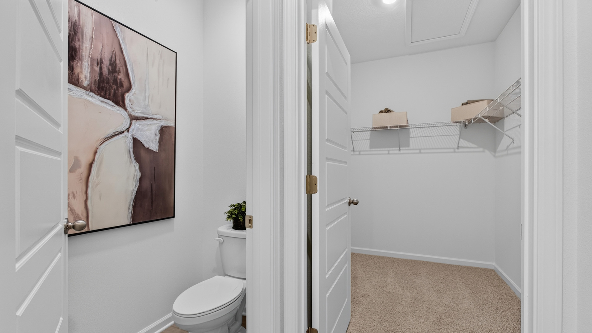 Cali+