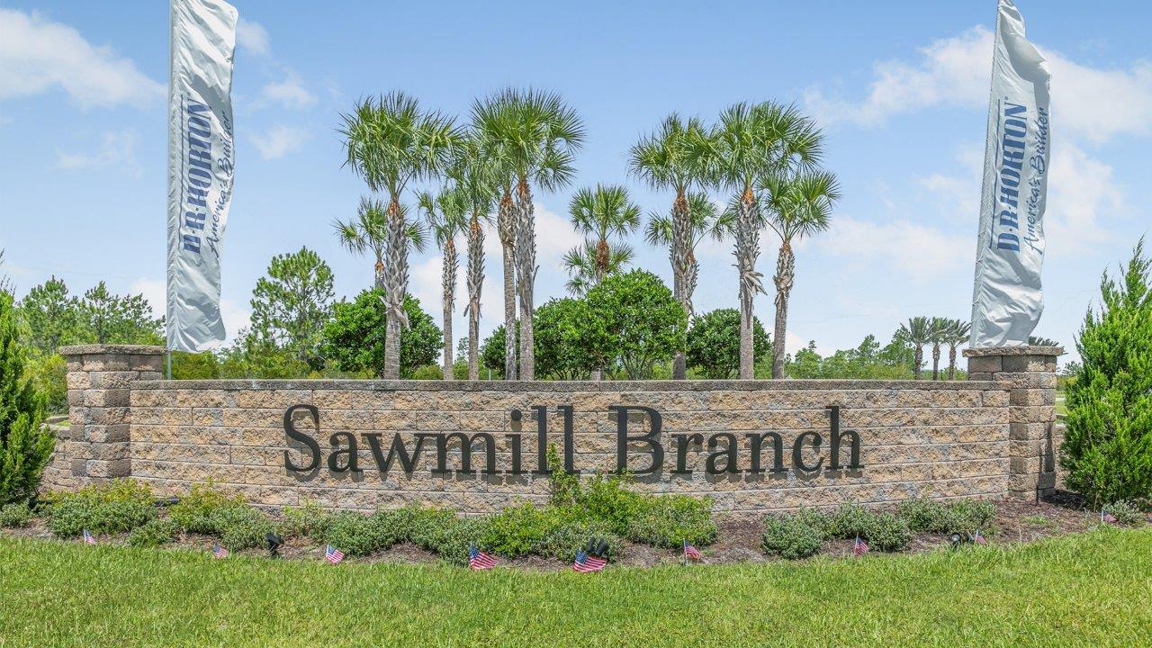 Sawmill branch 0000 6f1a0293