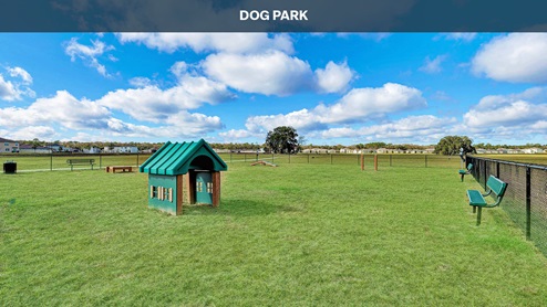 Dog Park