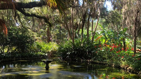 Palm Coast