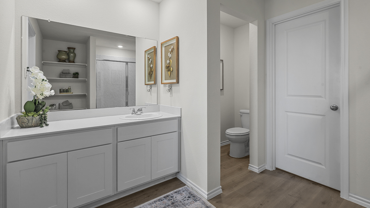 primary bathroom with elongated vanity and walk in closet
