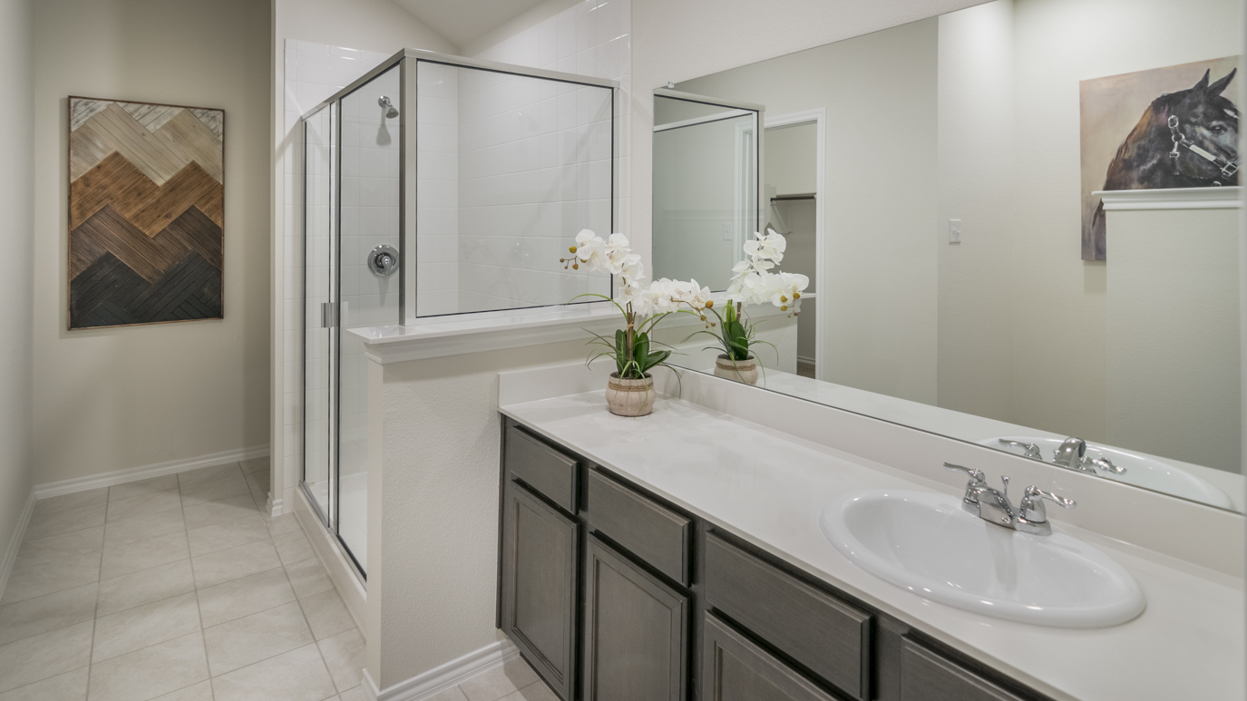 primary bathroom with walk in shower