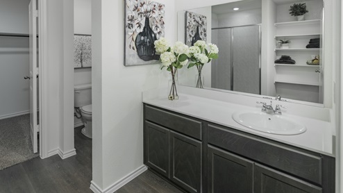 Valor farms amenities model large bathroom