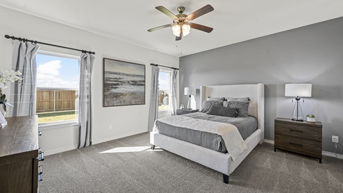 primary bedroom with gray accent wall and ceiling fan