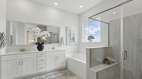 Interior bathroom with walk in shower and double vanity