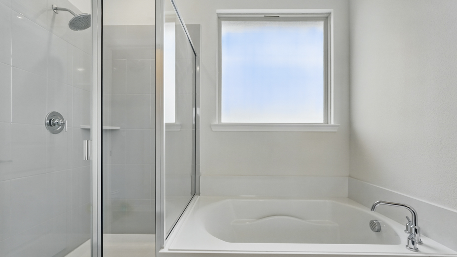 Primary bathroom with a walk in shower and separate bathtub.