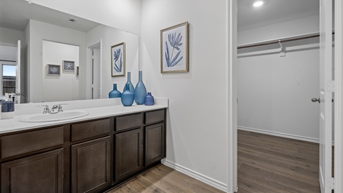 Primary bathroom with long vanity and walk in closet