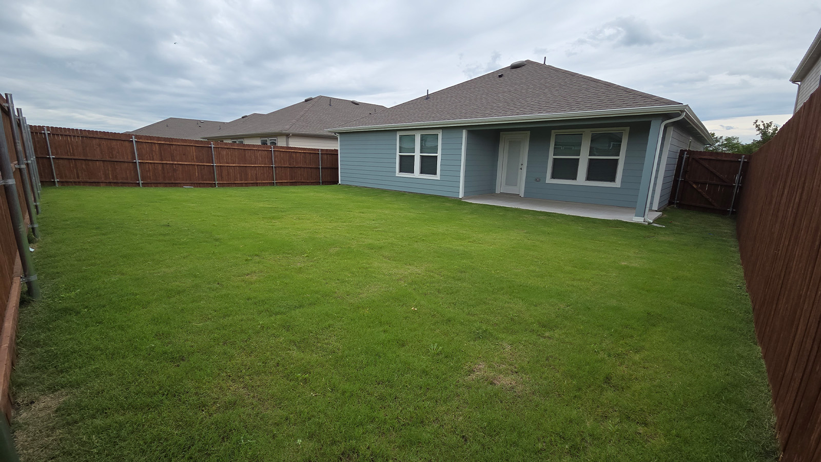 backyard