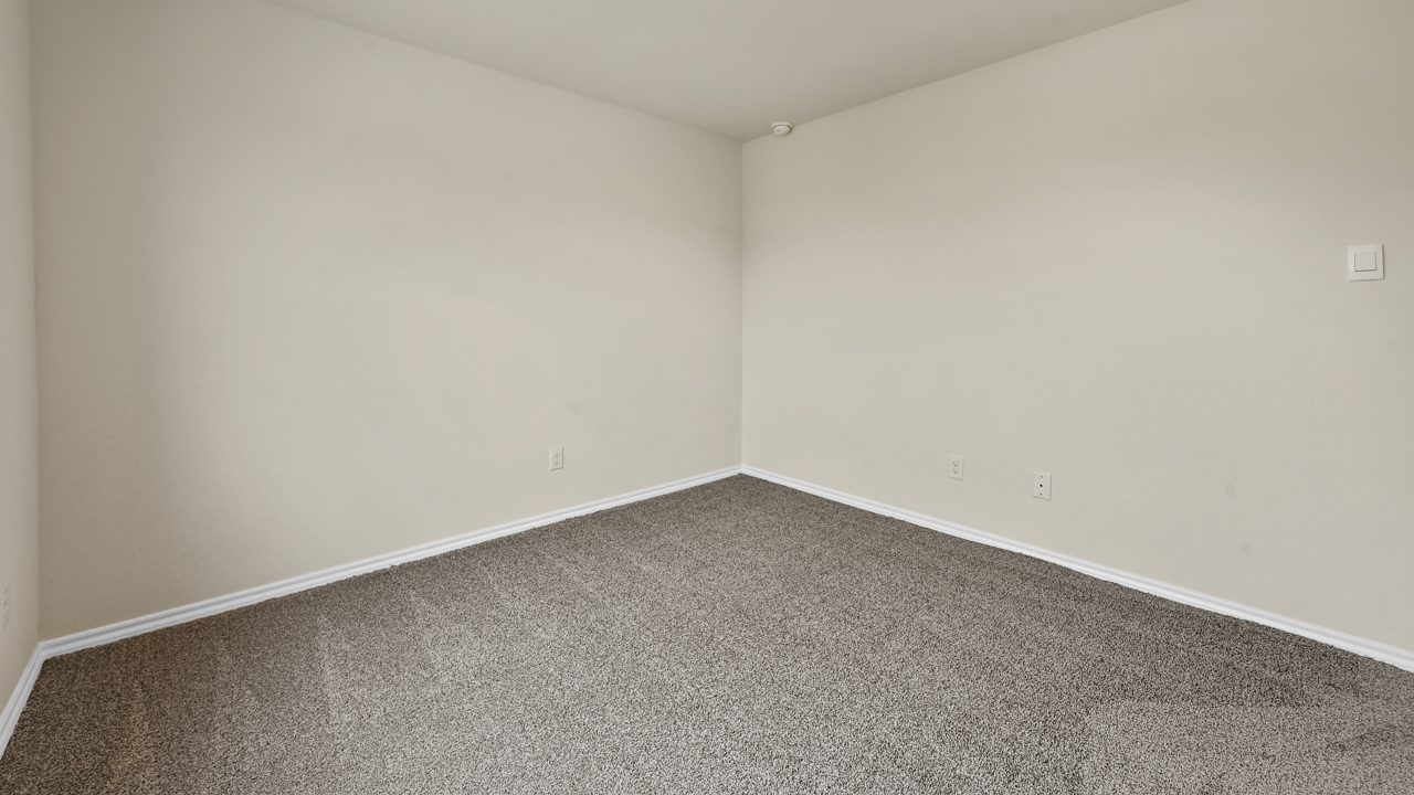 secondary bedroom with carpet