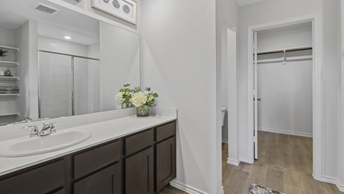 Primary bathroom with elongated vanity and walk in closet