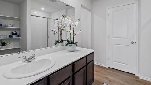 450 Lucky Lane at Bluff Springs in Ferris, TX primary bathroom with hardwood floors and white counters