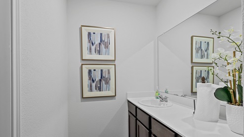 450 Lucky Lane at Bluff Springs in Ferris, TX secondary bathroom with white counters and dark cabinets