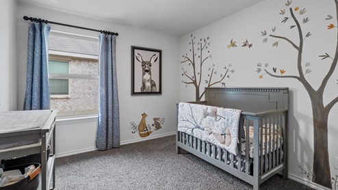 454 Lucky Lane at Bluff Springs in Ferris, TX secondary bedroom with carpet and large windows providing natural light