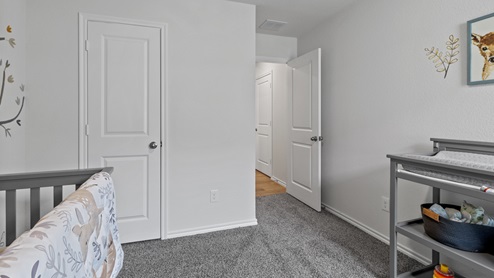 454 Lucky Lane at Bluff Springs in Ferris, TX secondary bedroom with carpet and large windows providing natural light