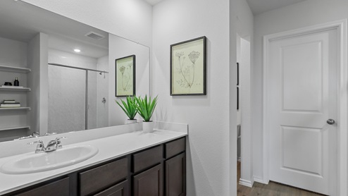 454 Lucky Lane at Bluff Springs in Ferris, TX primary bathroom with dark cabinets and white counters