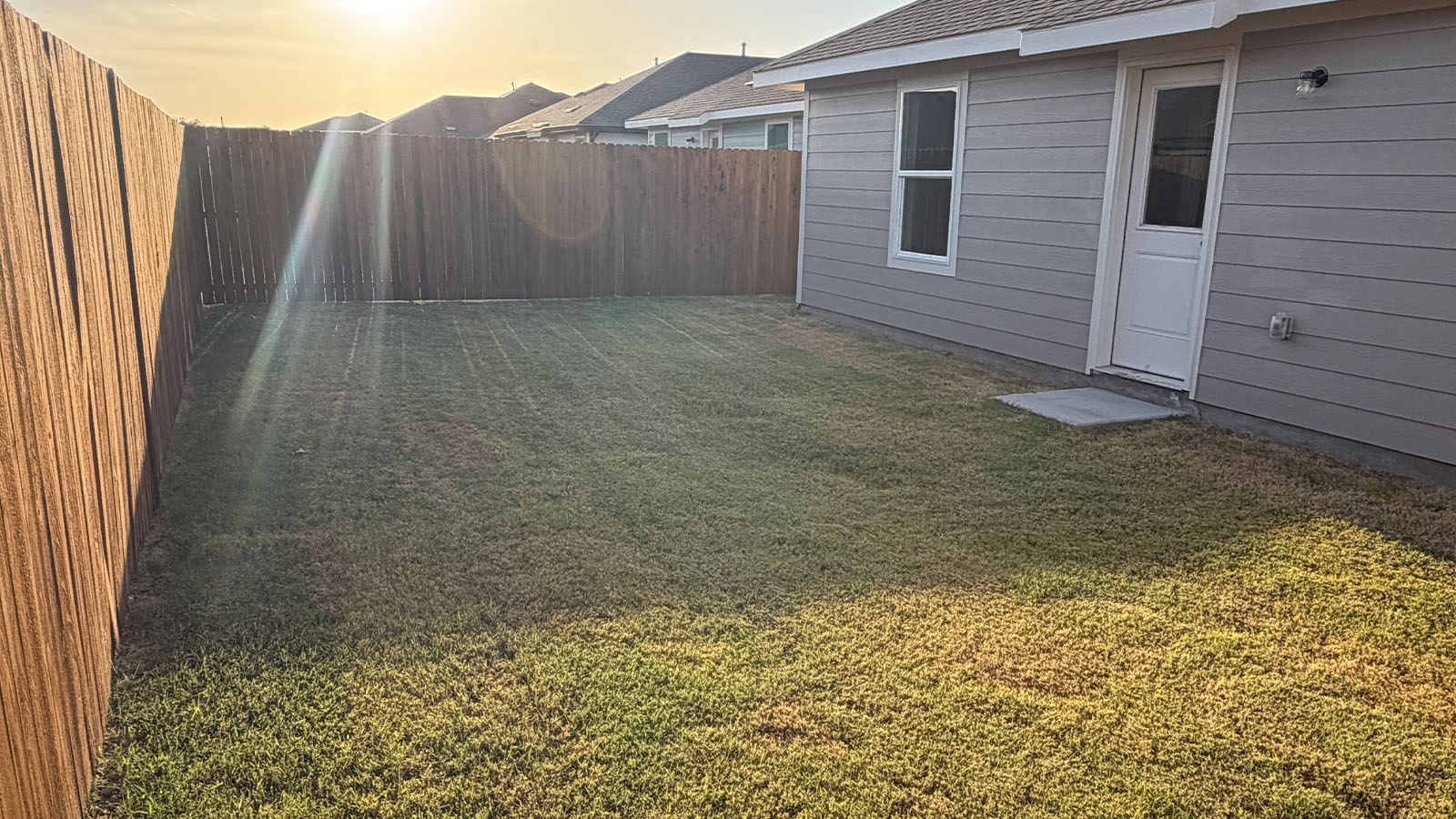 backyard