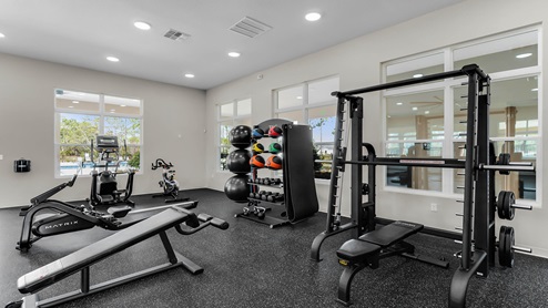 Fitness center with cardio and strength machines.