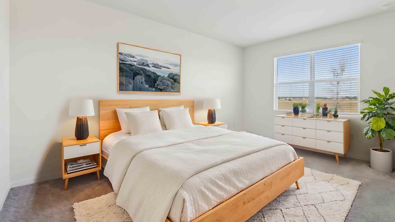 4 twisted oaks clifton owners suite