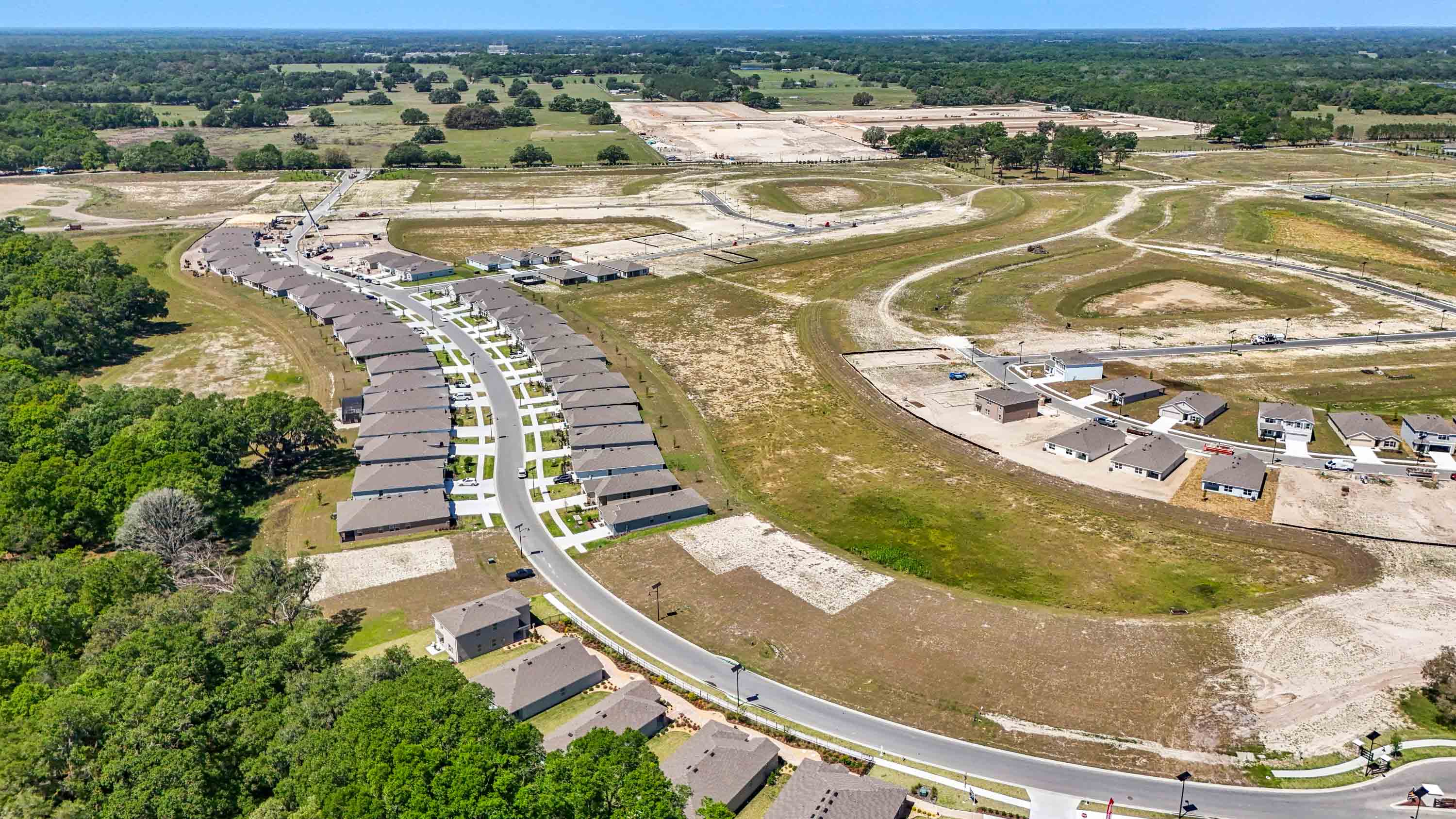 Twisted Oaks model row