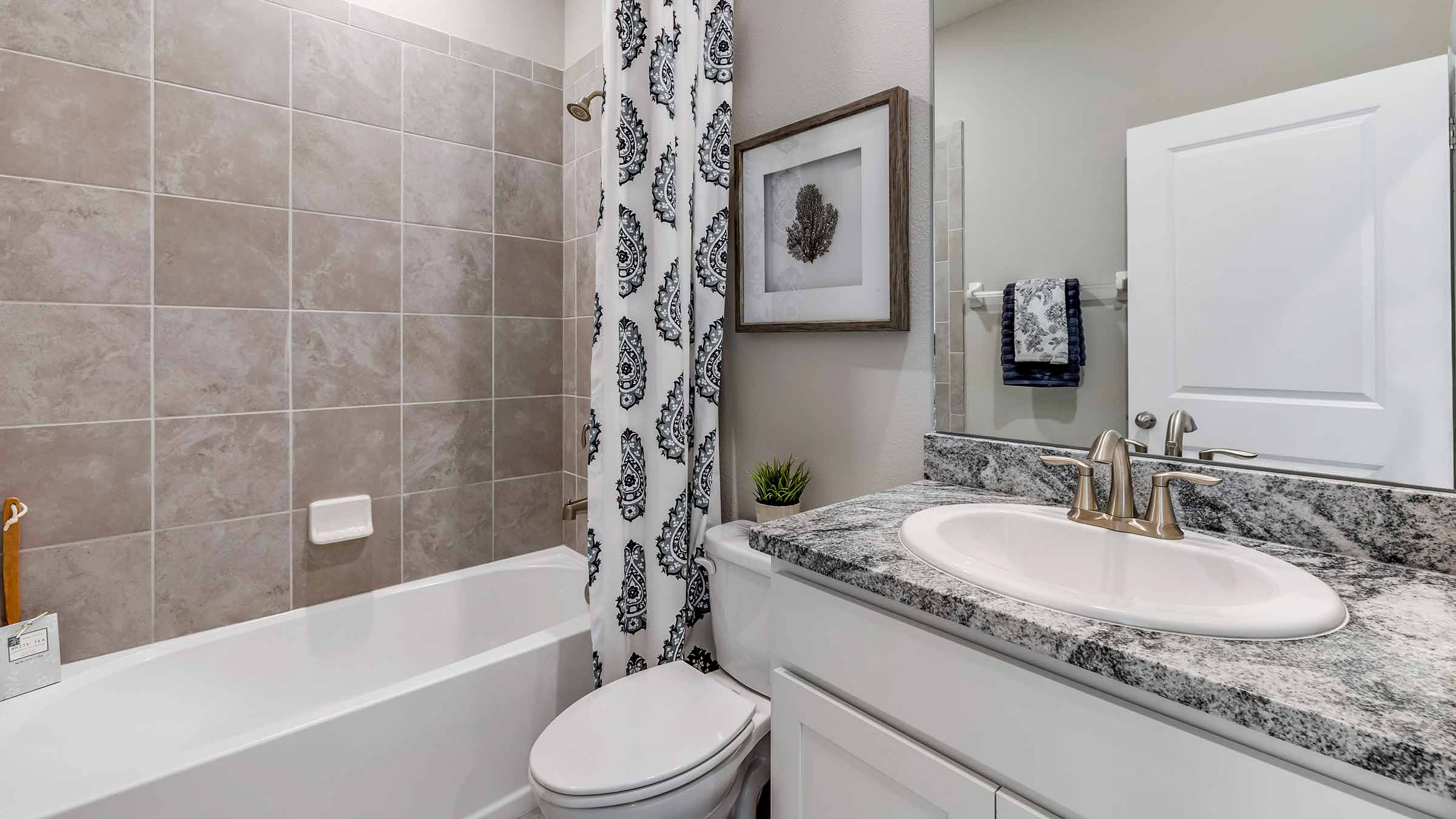 Bathroom with shower and sink and gray cabinet