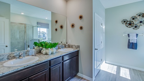 Main bathroom with double vanity and walk in closet
