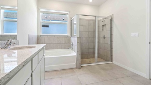 Hawthorne owners ensuite bathroom