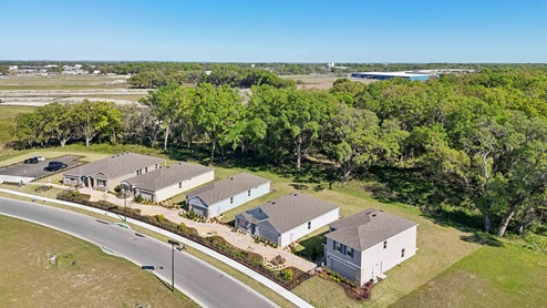 Twisted Oaks model row