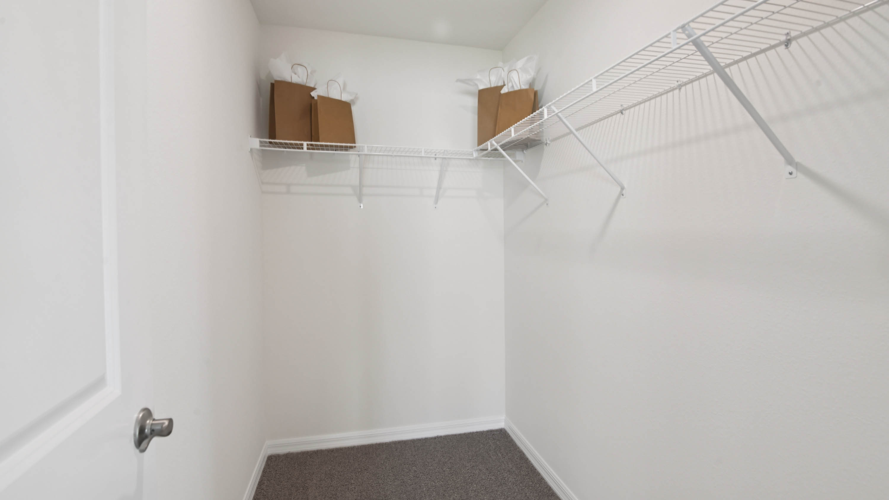 Allex primary closet