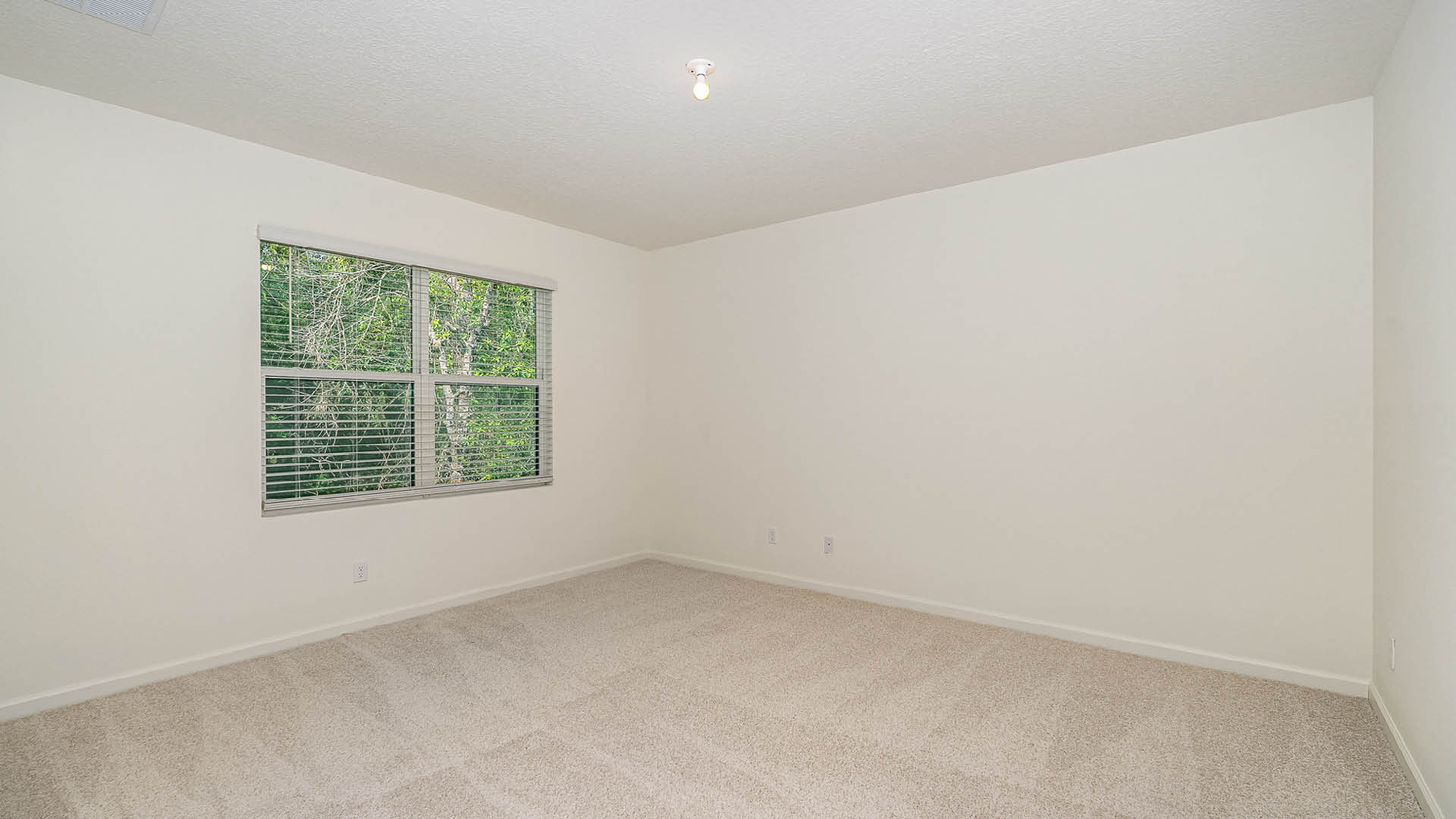 A bright, empty room with beige carpet, white walls, and a large window overlooking green trees outside.