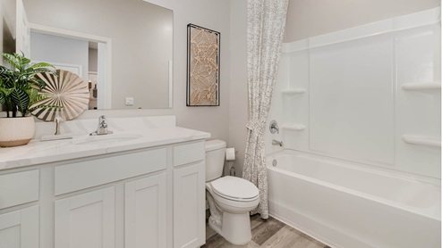 Modern bathroom featuring a vanity with a mirror, white tub, shower curtain, toilet, and decorative accents, including plants and wall art.