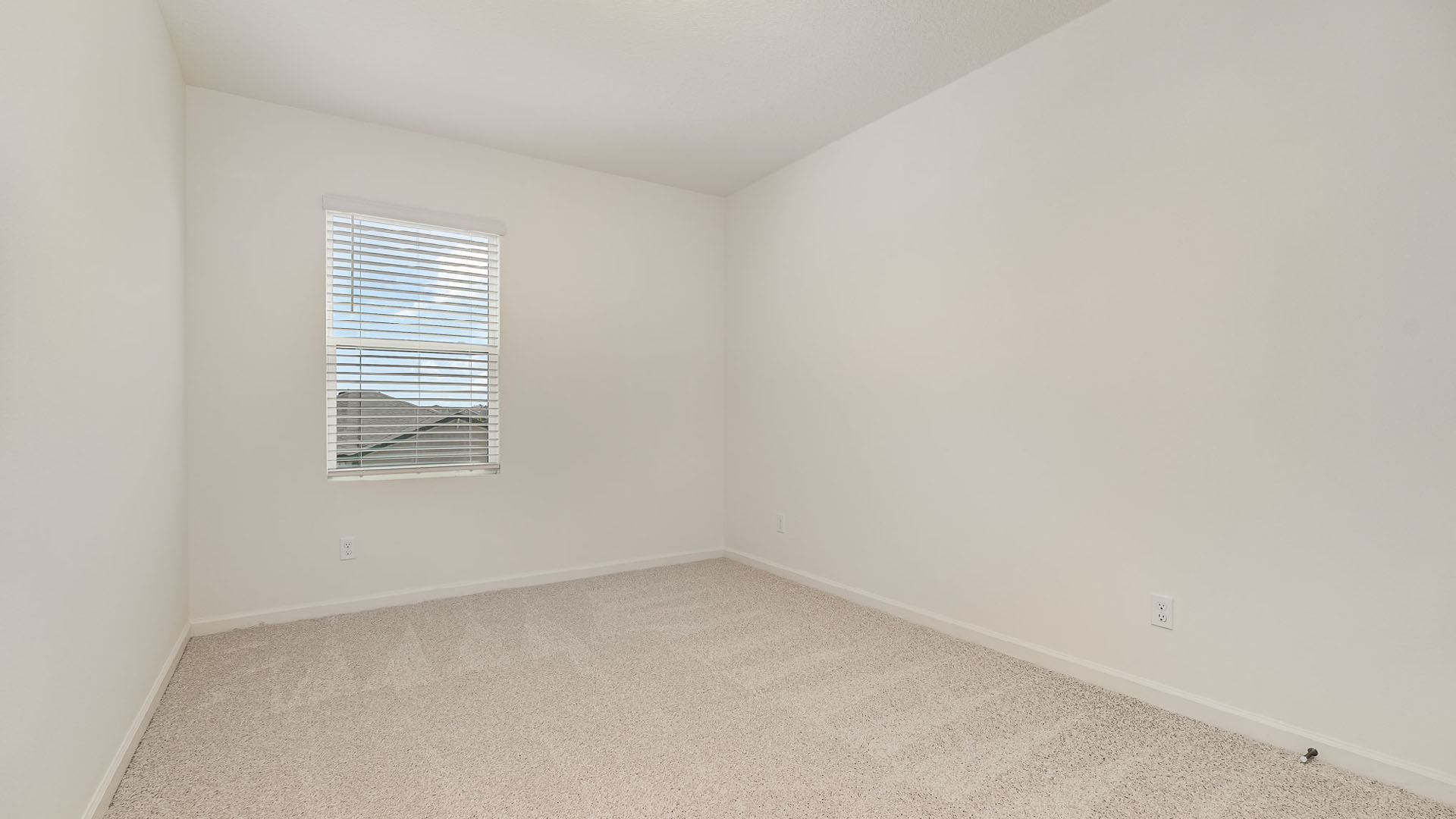 Bright, empty room with beige carpet and a window featuring white blinds, allowing natural light to fill the space.