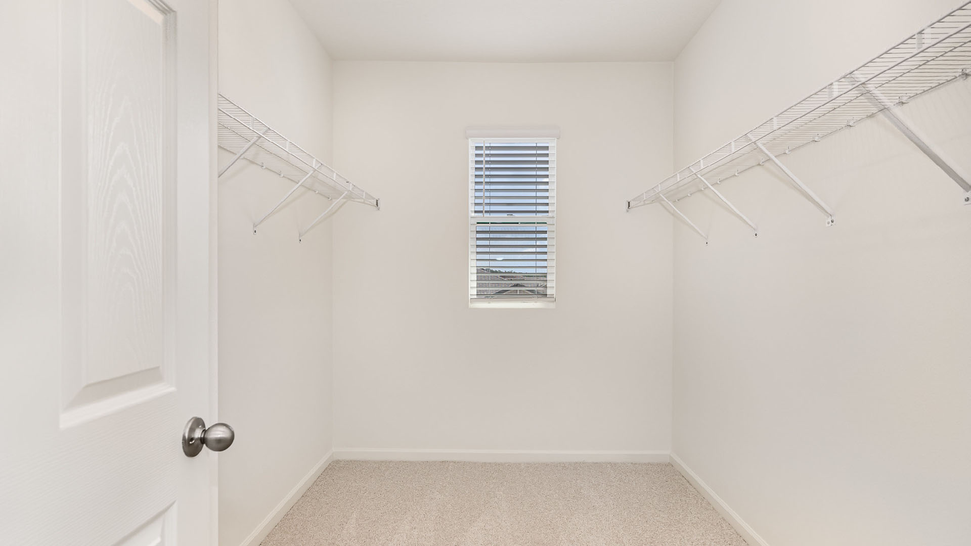 Empty walk-in closet featuring white walls, carpeted floor, metal shelving, and a window for natural light.