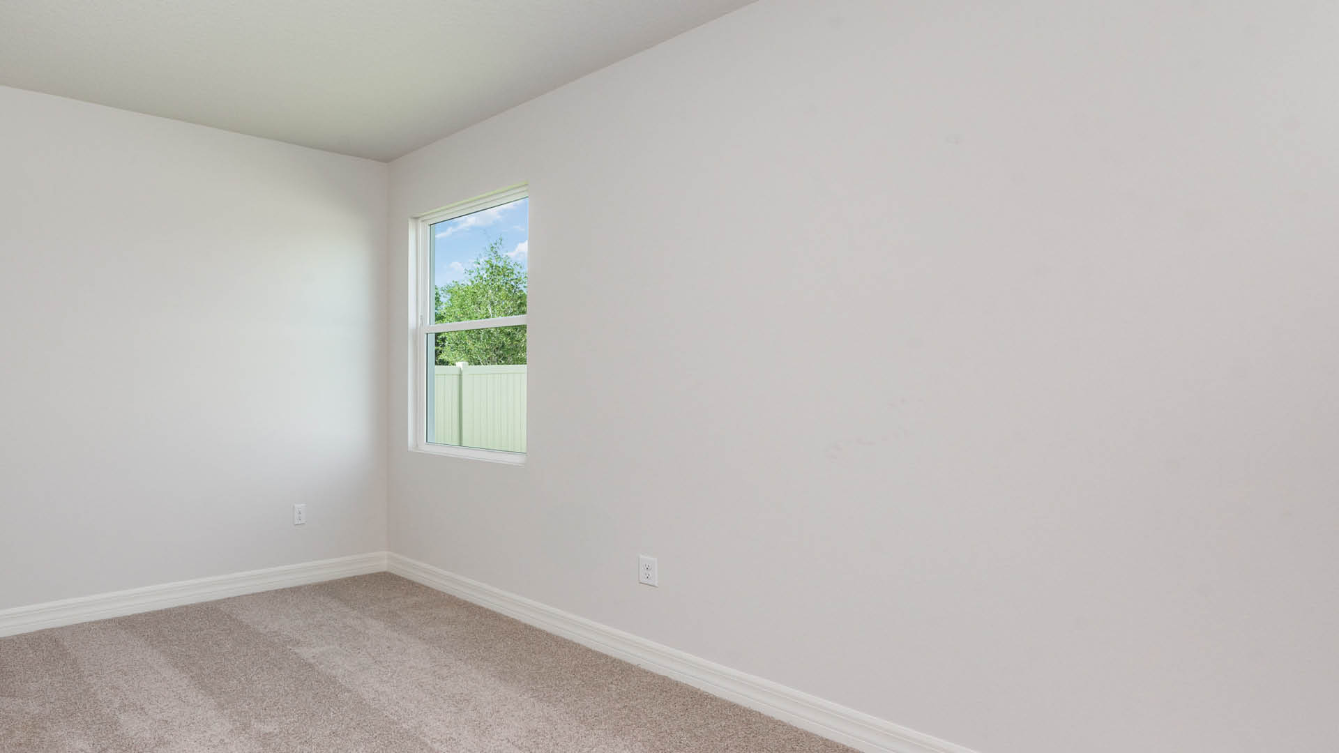 Minimalist room with beige carpet, white walls, and a window showing greenery outside. Ideal for natural light.
